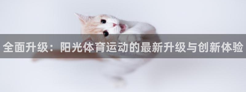 必发官网下载平台是正规平台吗