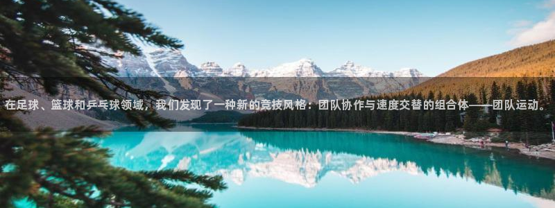 必发官网下载软件：在足球、篮球和乒乓球领域，我们发现