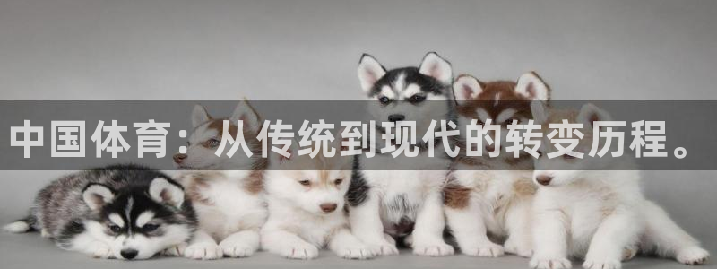 德国必发官方正版app集团