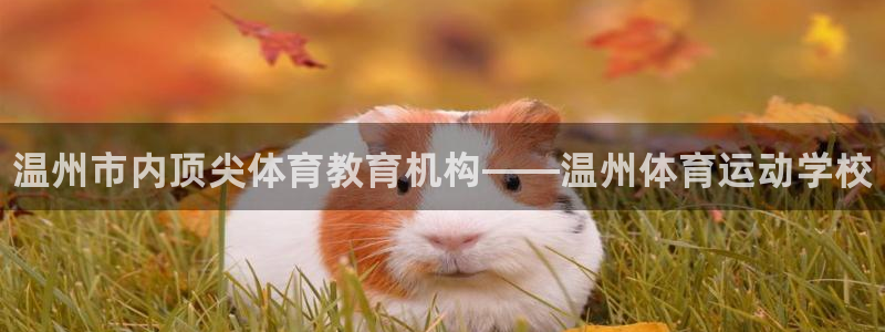必发官网下载平台注册要钱吗安全吗：温州市内顶尖体育教