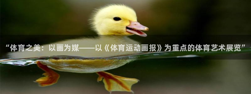 海南必发官网下载发展怎么样