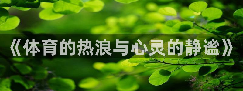 必发官方正版app娱乐代理怎么样：《体育的热浪与心灵