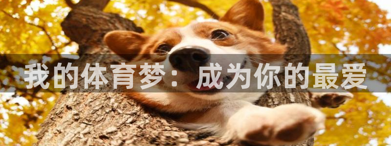 必发官网下载平台注册流程视频：我的体育梦：成为你的最爱