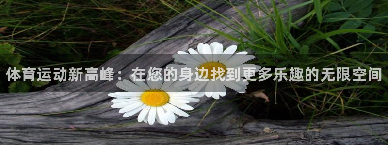 必发官方正版app新能源：体育运动新高峰：在您的身边找到更多