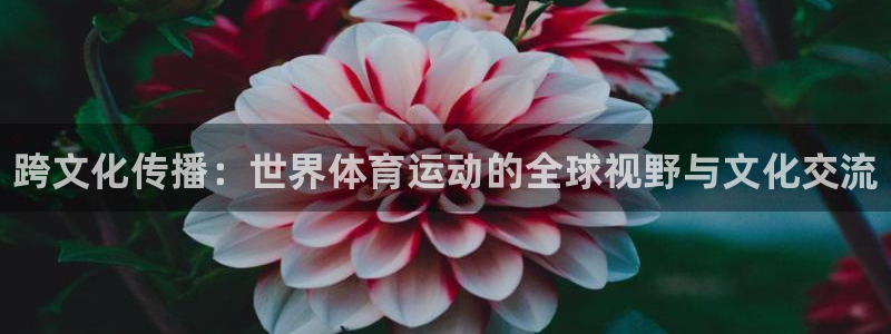 必发官方正版app集团：跨文化传播：世界体育运动的全球视野与