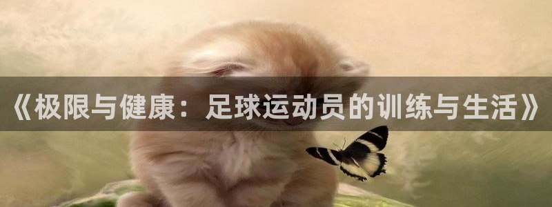 必发官方正版app娱乐是那个系列的台子