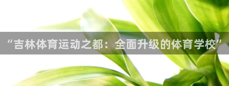 必发官网下载平台注册要钱吗安全吗：“吉林体育运动之都：全面升