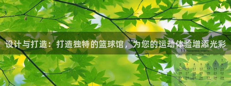 必发官方正版app娱乐首页官网下载：设计与打造：打造独特的篮