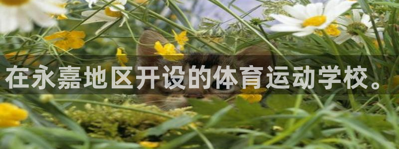 必发官方正版app集团官网网址：在永嘉地区开设的体育运动学校