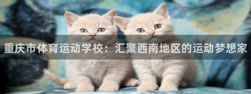 必发官网下载平台注册要钱吗安全吗：重庆市体育运动学校