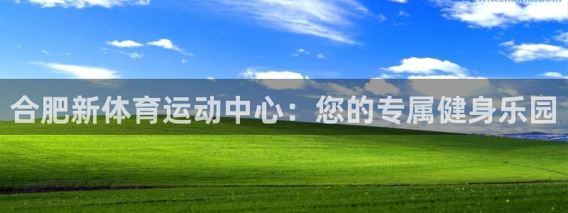 必发官网下载是干嘛的公司：合肥新体育运动中心：您的专属健身乐
