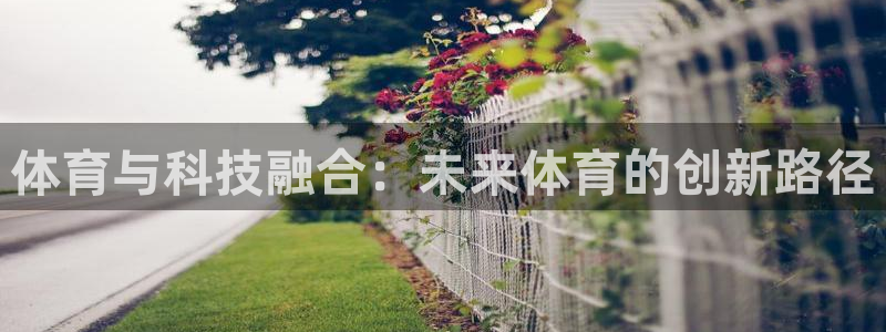 必发官方正版app新能源：体育与科技融合：未来体育的创新路径
