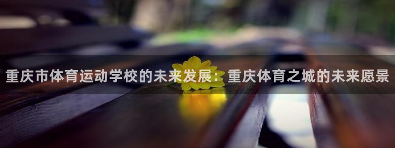 必发官方正版app开户：重庆市体育运动学校的未来发展：重庆体