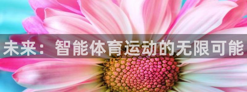 必发官网下载是干嘛的公司：未来：智能体育运动的无限可