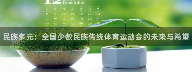 必发官方正版app集团E.ON：民族多元：全国少数民族传统体