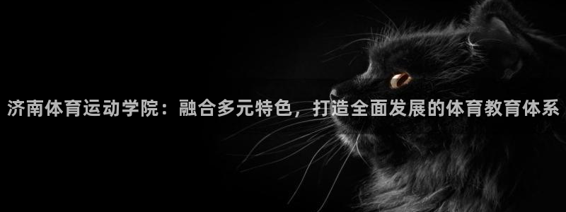 必发官方正版app科技：济南体育运动学院：融合多元特