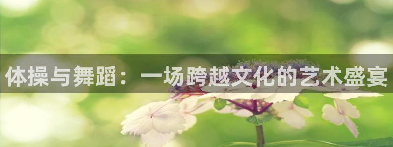 必发官方正版app集团官网首页：体操与舞蹈：一场跨越