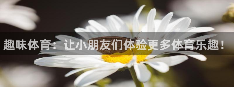 注册必发官方正版app：趣味体育：让小朋友们体验更多